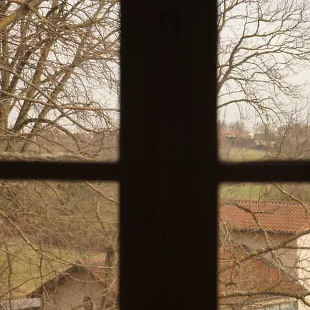 Chouette Attic *